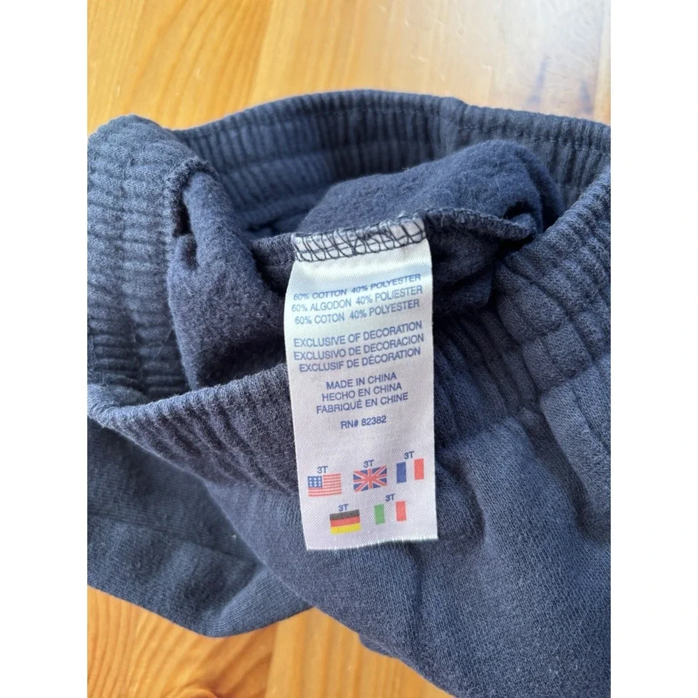 Toddler Champion Hoodie & Jogger Pants Set Blue/White‎ Size 3T